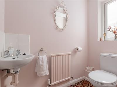 Picture 15